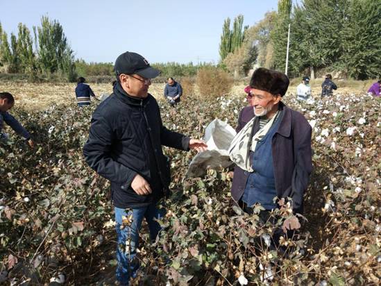 20171023,冯东河书记带领畜科院下沉干部一起到田间地头走访,了解群众困难,帮助拾棉花。热合曼·牙生老人流下激动的眼泪